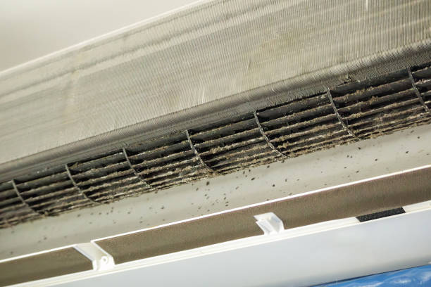 Best Ventilation Cleaning Services  in Hwatha, IA